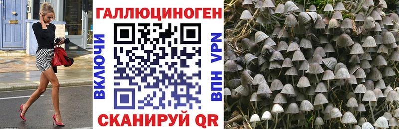 Псилоцибиновые грибы мицелий Купить закладки Шарья
